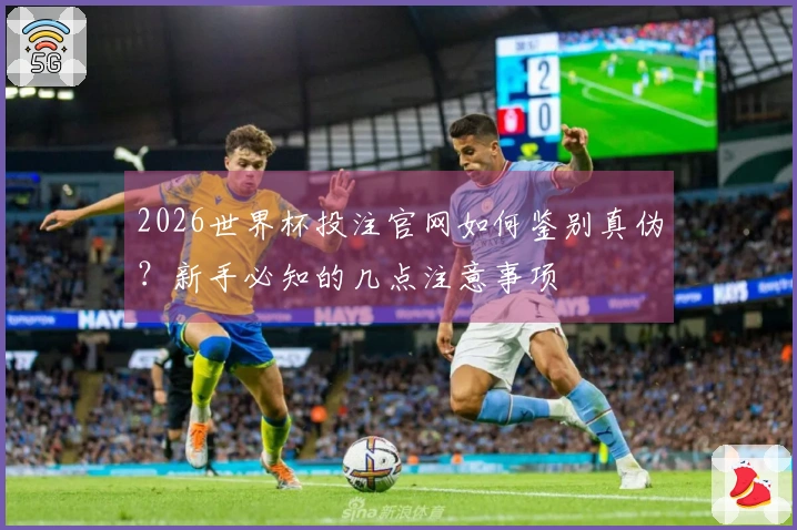 2026世界杯投注官网如何鉴别真伪？新手必知的几点注意事项
