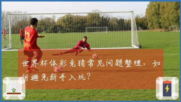世界杯体彩竞猜常见问题整理，如何避免新手入坑？