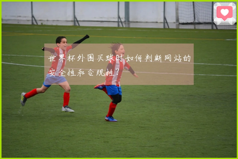 世界杯外围买球时如何判断网站的安全性和合规性？