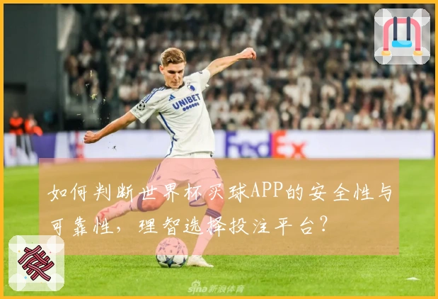 如何判断世界杯买球APP的安全性与可靠性，理智选择投注平台？