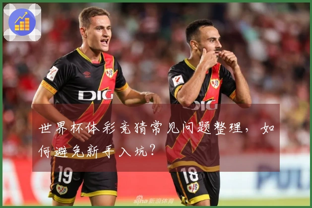 世界杯体彩竞猜常见问题整理，如何避免新手入坑？